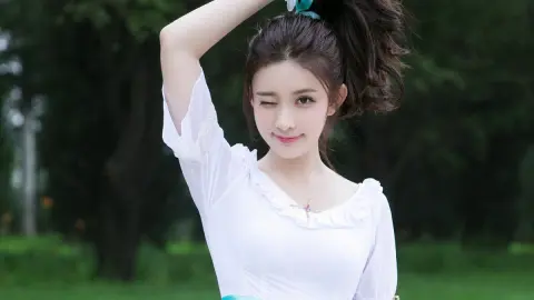 中国人形机器人