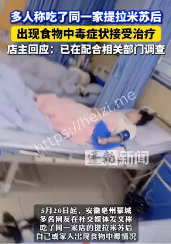甜心提拉米苏