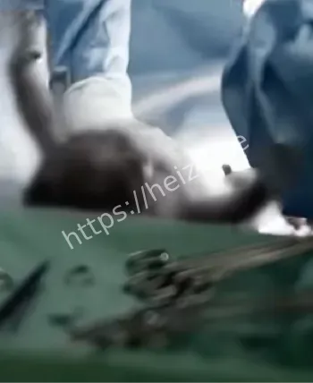 毫无人性
