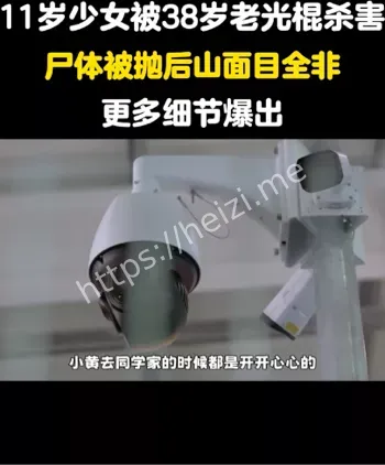 案件内幕