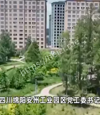 纪委调查