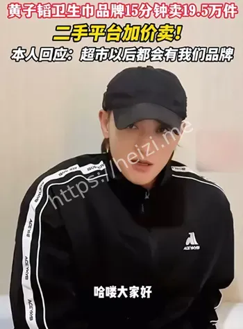 流量明星