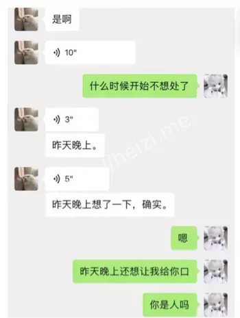 金主