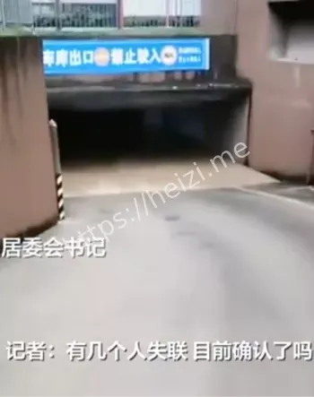 龙领国际