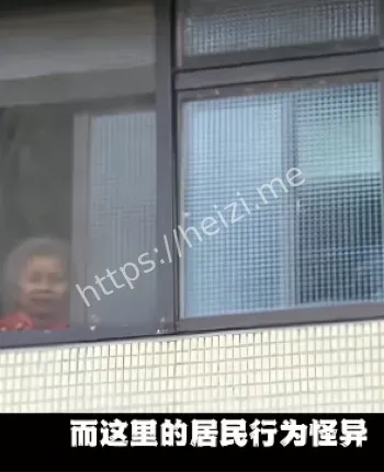 黑子有料