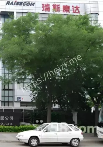 董事长刑拘