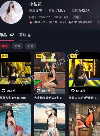 小梨花翻车