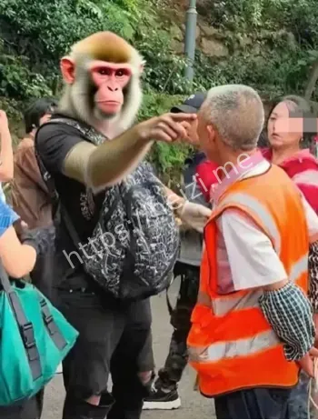 舆论风暴