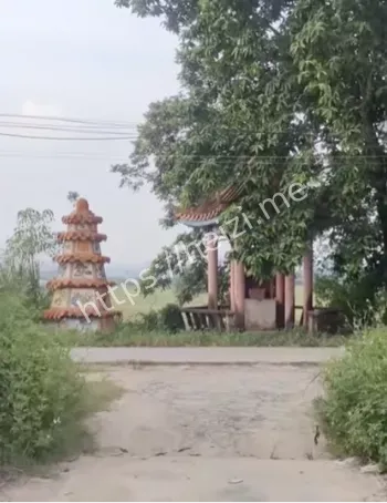 揭西顶埔村