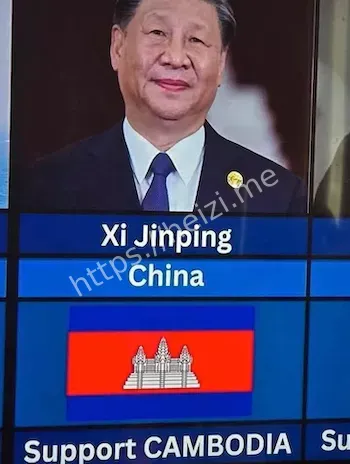 东盟支持