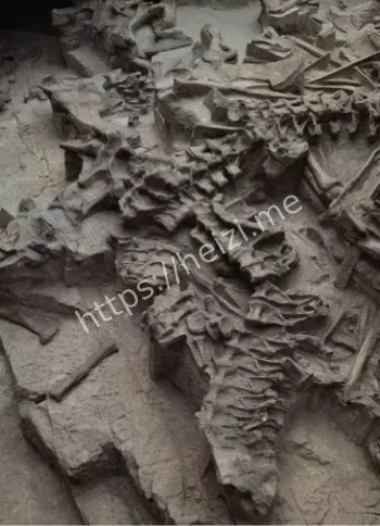 侏罗纪恐龙坟场