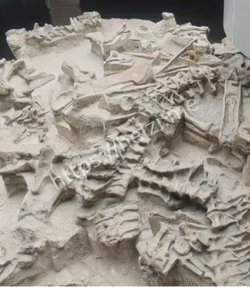 自贡恐龙博物馆