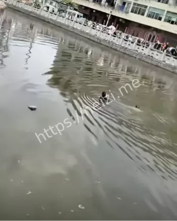 心理健康