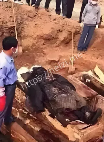 清朝僵尸