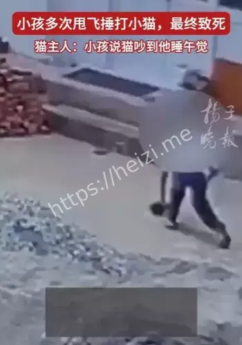动物保护