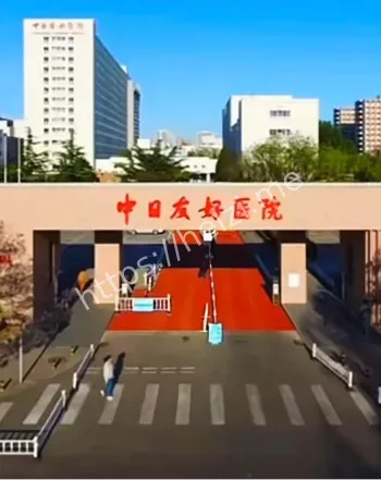论文抄袭