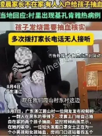 基孔肯雅热