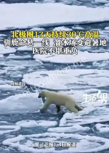 北极热浪