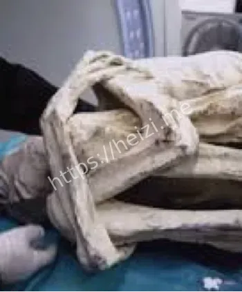 纳斯卡外星人干尸