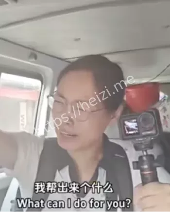 丹努
