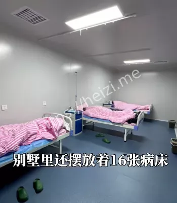 长沙地下代孕事件