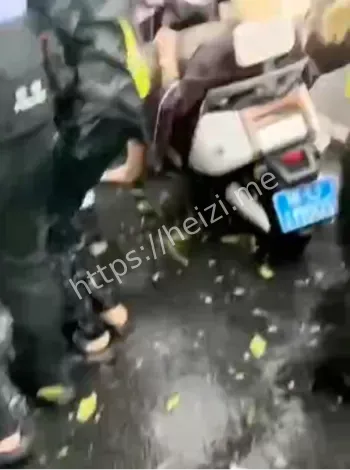 台风剑鱼