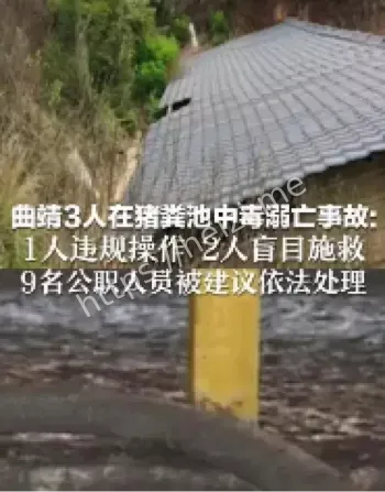 云南曲靖猪粪池事故