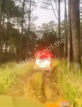 警方调查