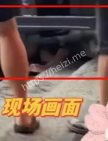 黑子网爆料