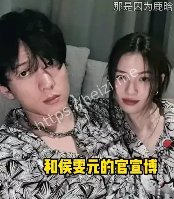 马思纯张曼乐分手据信