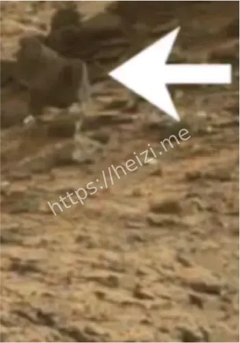 杰泽罗陨坑发现