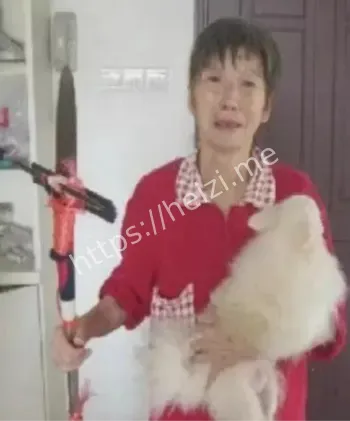 完整版详细揭秘