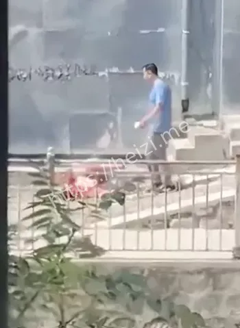 河北邯郸街头暴力砍人案