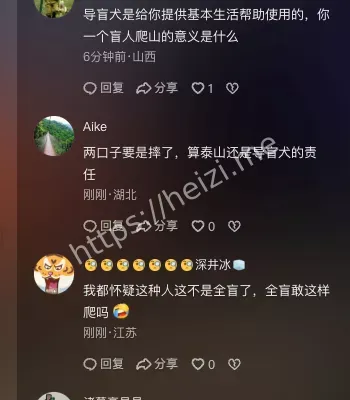 大连导盲犬基地回应回收