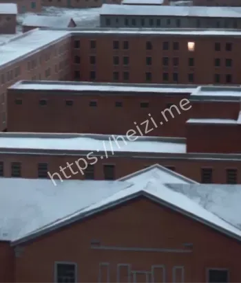 残酷大浩劫受害者故事