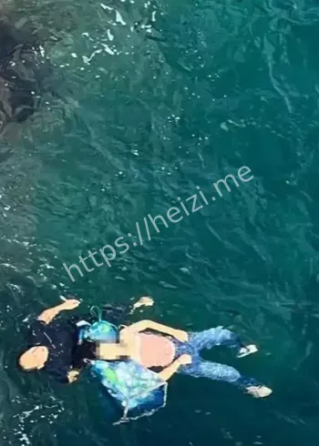 日本城崎海岸救人