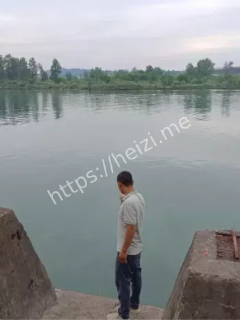 多情种陨落教训