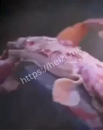 抗日剧行业黑幕