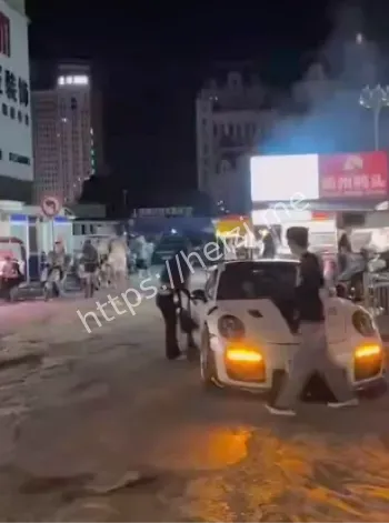 女子砸911事件后续