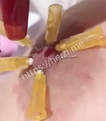 推特重口福利姬