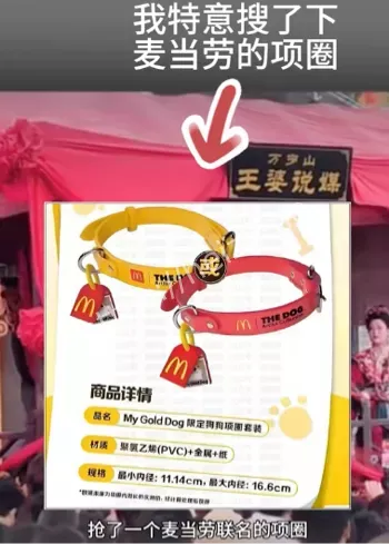 麦当劳项圈宠物抛弃史曝光