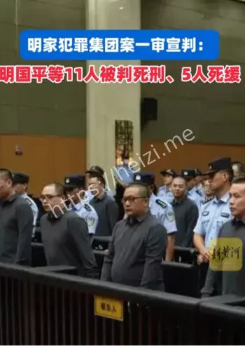 缅北电诈武装庇护