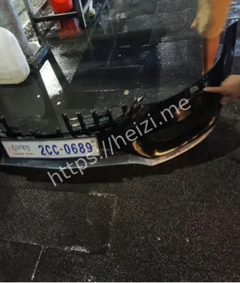 凌晨豪华车撞死捡垃圾老人