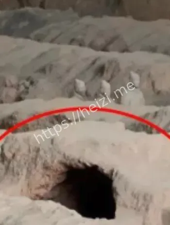 盗洞