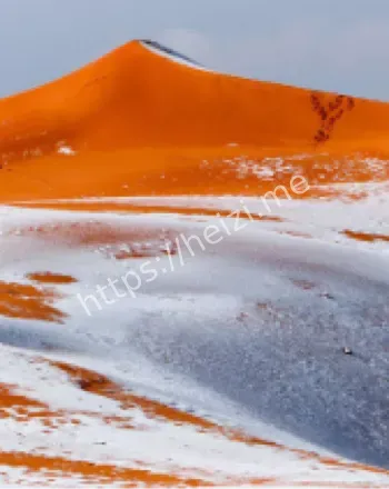 撒哈拉沙漠罕见雪景