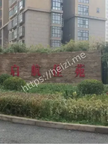 妈妈扔垃圾孩子爬窗掉下