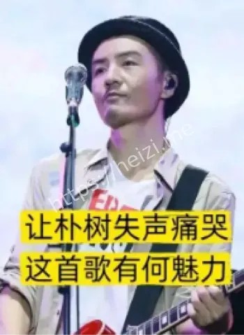 朴树演唱会