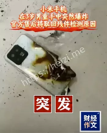 官方检测回应