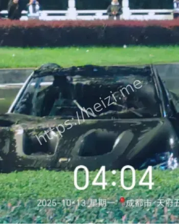 小米SU7电子门锁断电锁死