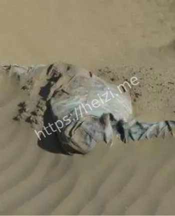 罗布泊病毒沙民传说